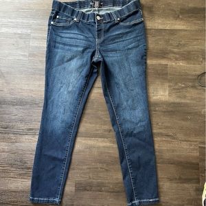 Ariya Denim Jeans Pants Blue Embroidery Pockets size 16 skinny jeans plus size